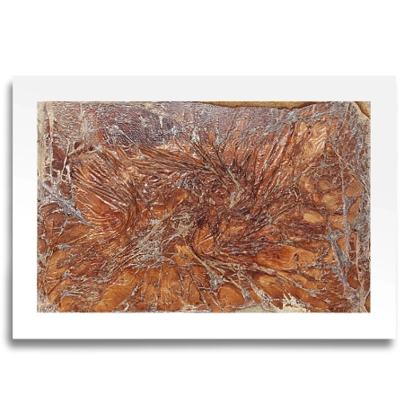 Eine mit oxidiertem Metalloxid auf einer Leinwand im Format 80 cm x 55 cm gestaltete, abstrakte Oberfläche Inform eines Gewebes. Die komplette Leinwand ist mit einer durchsichtigen Folie überzogen. | mixed-art