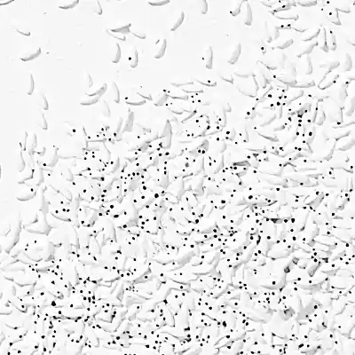 Makro Ausschnitt eines Kunstwerks mit Reis, der kleiner schwarze Löcher hat.